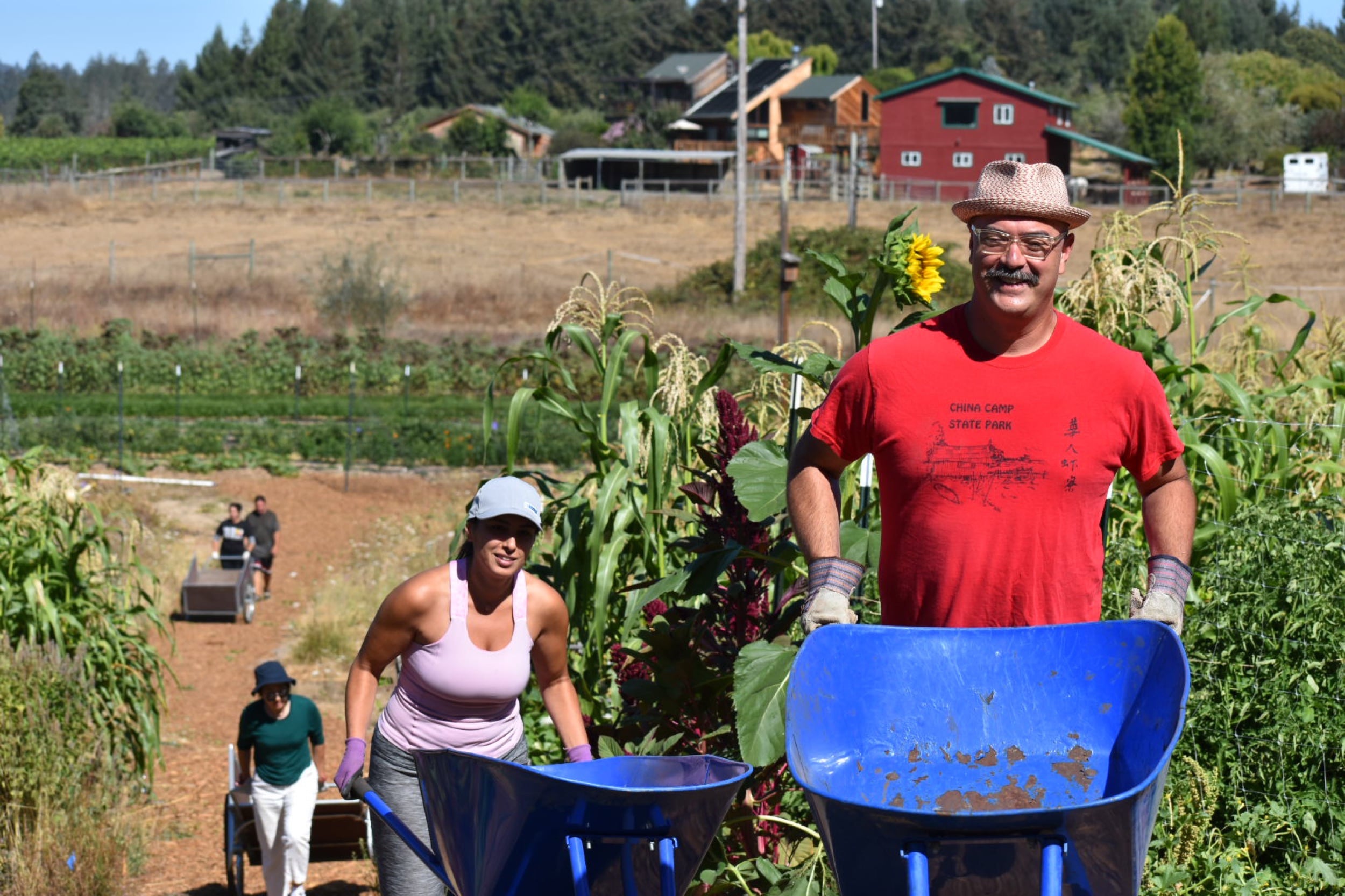 Tides employees volunteering at Heron Shadow farm. The two people in the foreground, a man and a woman, with medium-tone skin and dark hair are wearing hats and pushing blue wheelbarrows up a hill.