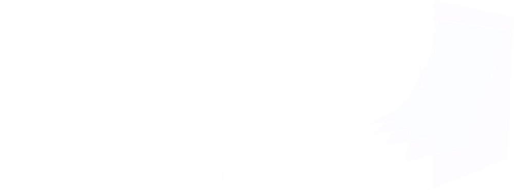 white tides logo