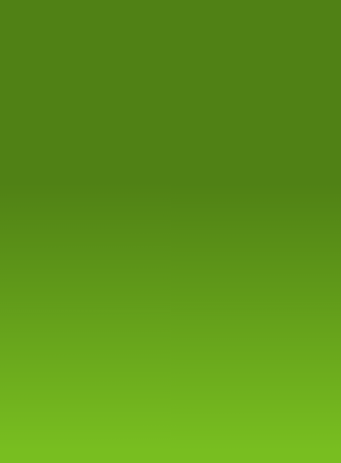 green rectangle