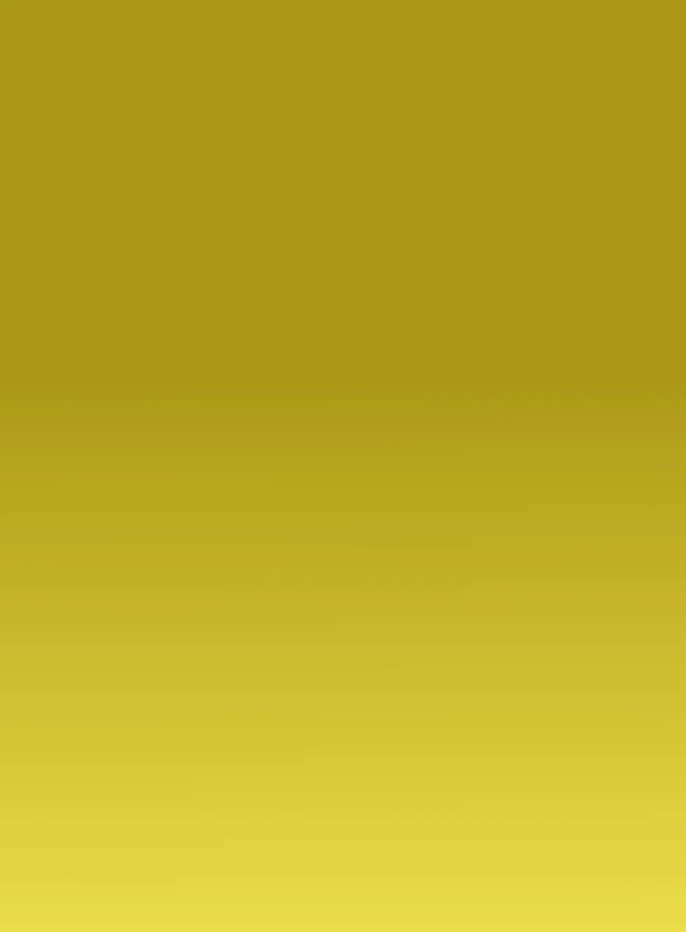 yellow rectangle