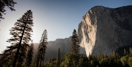 A sunny day with a view of El Capitan in Yosemite.