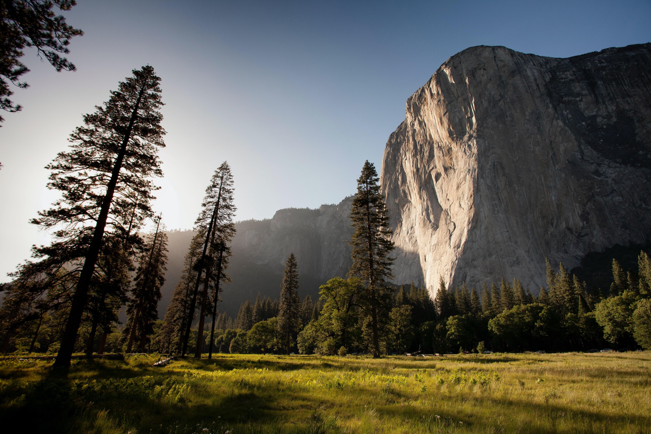 A sunny day with a view of El Capitan in Yosemite.